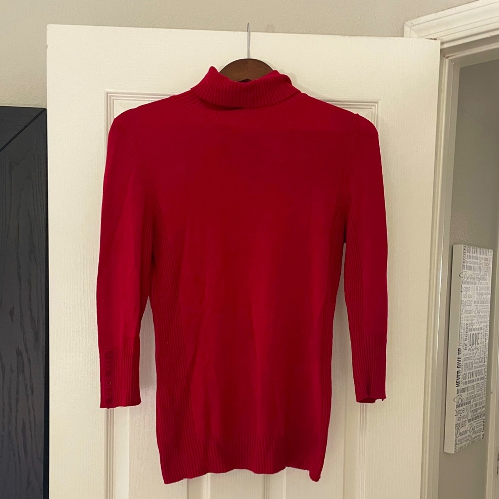 Express turtleneck sweater